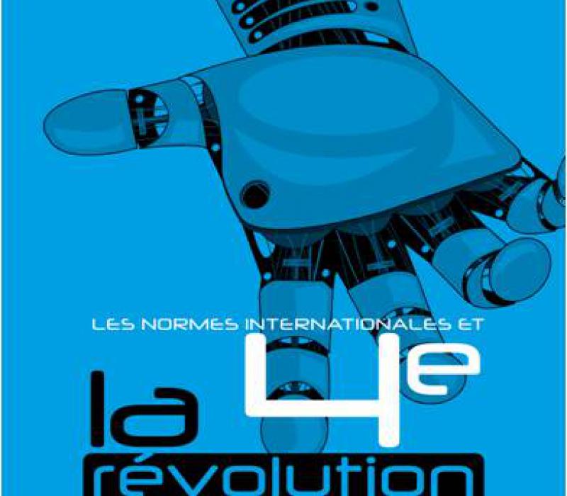 revolution indistruelle